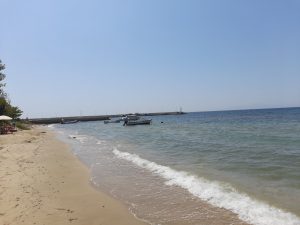 IMG-7131c61738ad63fd5a7de8d07692bd75-V